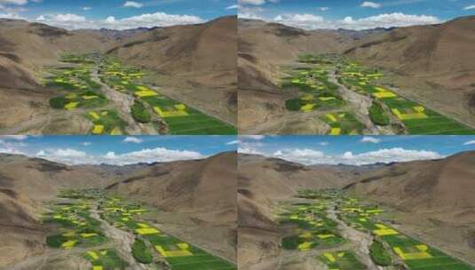 西藏山南市乡村田野田园自然风光航拍高清在线视频素材下载