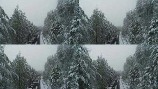 航拍森林冰雪高清在线视频素材下载