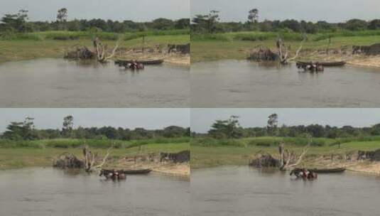 在河水里洗马的男人高清在线视频素材下载