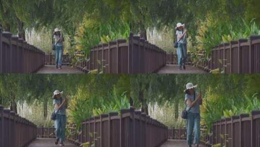 公园防腐木小桥女游客手机拍摄风景视频高清在线视频素材下载