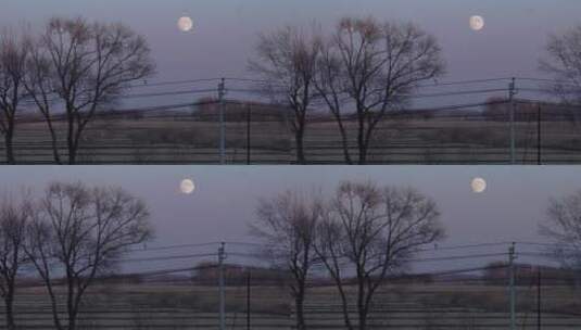 冬季黄昏傍晚郊区透过窗外树梢看向明月亮高清在线视频素材下载