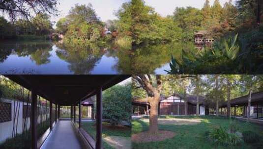 杭州西湖湖畔杭州花圃空镜头4K实拍视频高清在线视频素材下载