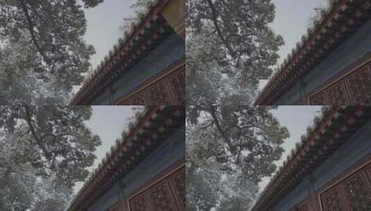 古建筑雪景高清在线视频素材下载