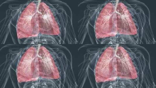 肺呼吸 肺活量 深呼吸 肺功能 吸气呼气高清在线视频素材下载