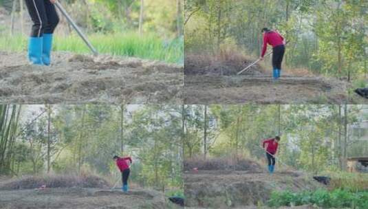 4k乡村妇女田园菜地种植浇水高清在线视频素材下载