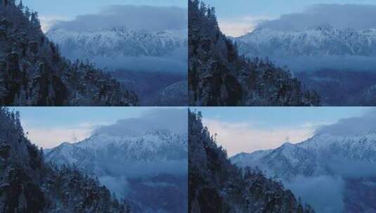 西藏察隅县城冰封森林航拍高清在线视频素材下载