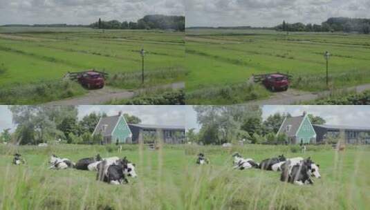 荷兰农村田野高清在线视频素材下载