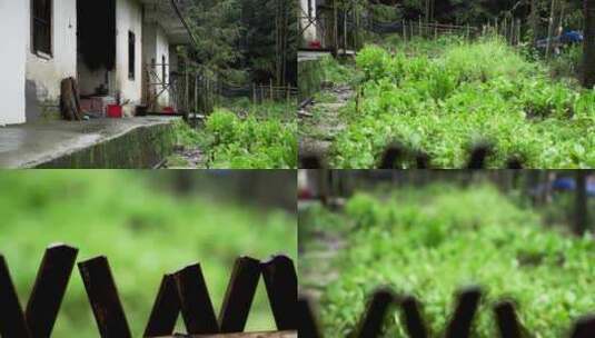 雨天山里旧建筑草木写实视频高清在线视频素材下载