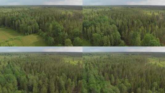 夏季，无人驾驶飞机飞越瑞典东南部的森林。Sm？土地高清在线视频素材下载