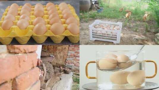 散养土鸡蛋高清在线视频素材下载