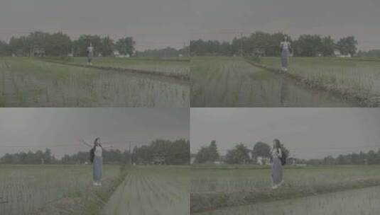 女孩漫步田间呼吸新鲜空气欣赏秧苗风景灰片高清在线视频素材下载