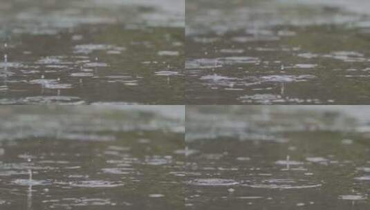 下雨雨水雨滴落在地面慢动作升格意境高清在线视频素材下载