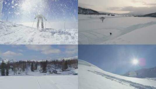 【合集】滑雪第一视角双板滑雪单板滑雪高清在线视频素材下载
