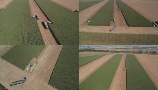 航拍 农业种植 收割农田掉头作业高清在线视频素材下载