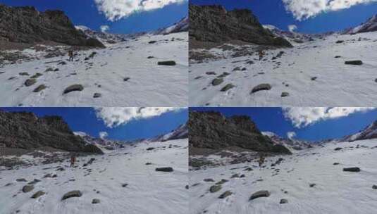 攀登横断山脉勒多曼因雪山的登山者徒步进山高清在线视频素材下载