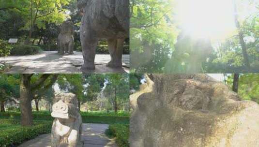 南京明孝陵景区石象路石狮子雕塑慢镜头空镜高清在线视频素材下载