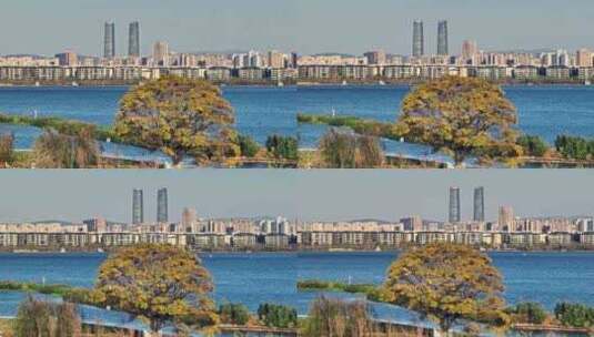 秋天昆明航拍高清在线视频素材下载