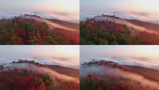 4K秋天五花山吉林东北秋景日出云海云雾逆光高清在线视频素材下载