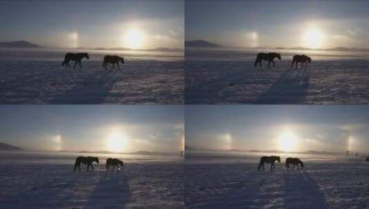 极寒天气下风吹动雪花高清在线视频素材下载