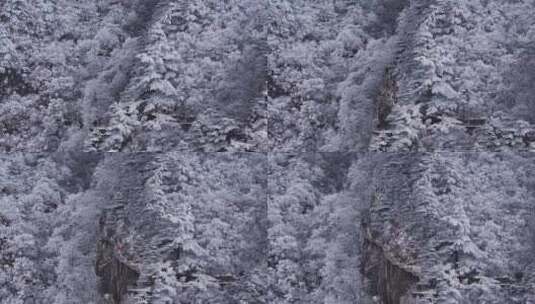 安徽黄山雪景高清在线视频素材下载