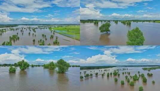 航拍辽河洪涝高清在线视频素材下载