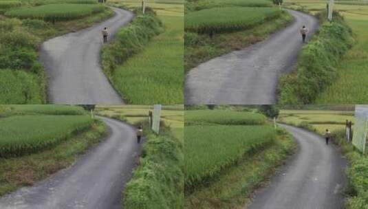 农村妇女走在田野边上的小路高清在线视频素材下载