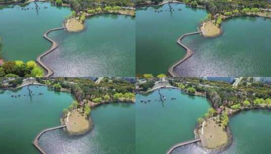 航拍春天里的苏州昆山玉湖湿地公园高清在线视频素材下载