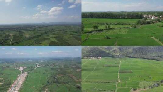 航拍农业种植稻田保护区高清在线视频素材下载