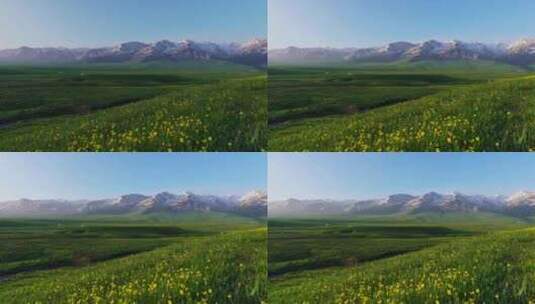 新疆伊犁那拉提空中草原日出光影延时高清在线视频素材下载