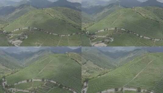 「有版权」原创航拍羊岩山茶文化园景区4K-3高清在线视频素材下载