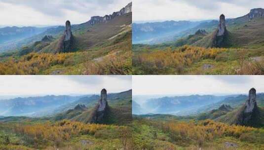 湖北恩施州大山顶林海水杉风景风光森林高清在线视频素材下载