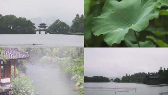 曲院风荷横版杭州西湖 曲院风荷 雨西湖高清在线视频素材下载