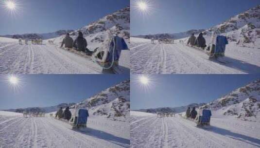 格陵兰岛，狗拉雪橇，冬天，雪高清在线视频素材下载