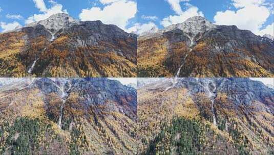 川西阿坝四姑娘山双桥沟景区高山的秋色高清在线视频素材下载