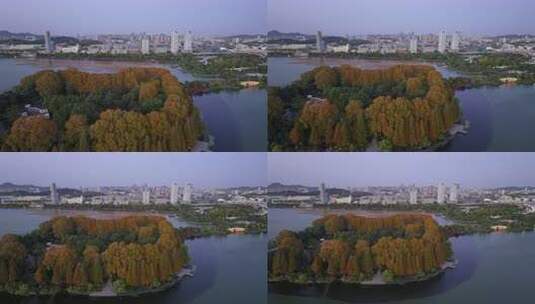 江苏南京玄武湖公园紫峰大厦日落夜景航拍高清在线视频素材下载