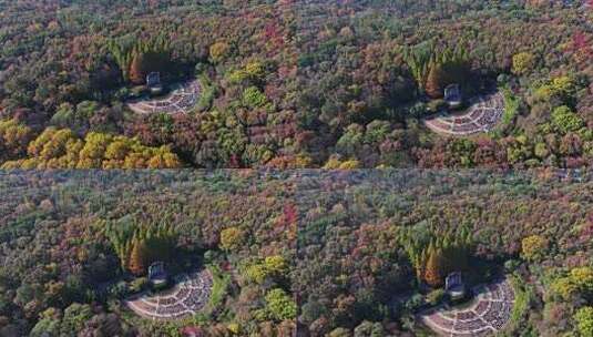 江苏南京中山陵灵山风景区音乐台秋色航拍高清在线视频素材下载