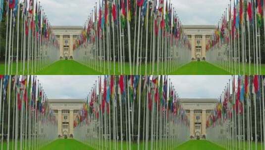 联合国，联合国旗帜，日内瓦，瑞士高清在线视频素材下载