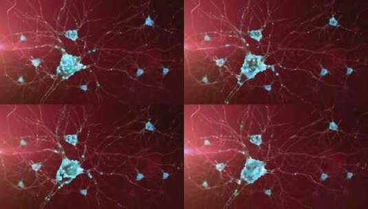 神经元细胞的动画。神经细胞在大脑中的活动高清在线视频素材下载