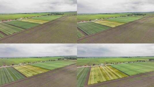 农业田间试验的鸟瞰图农业田间试验用机械高清在线视频素材下载