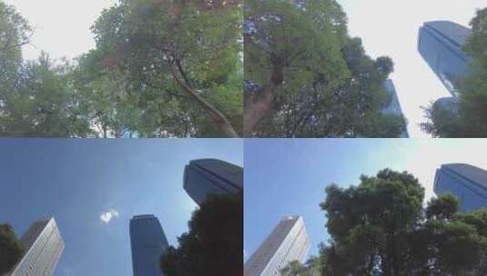 透过树枝叶仰视城市高楼大厦高清在线视频素材下载