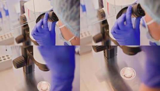 胚胎学家在实验室环境中进行人工受精高清在线视频素材下载