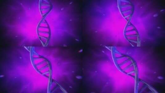 DNA、细菌、细胞、染色体高清在线视频素材下载