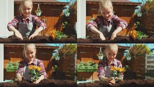 女孩种植橙花的地面拍摄高清在线视频素材下载