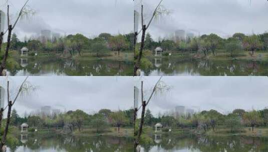 闵浦公园延时摄影高清在线视频素材下载