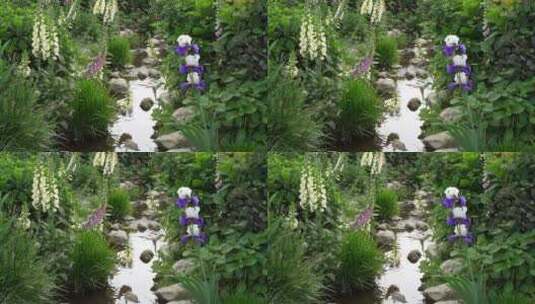 花园花房春天鲜花盛开高清在线视频素材下载