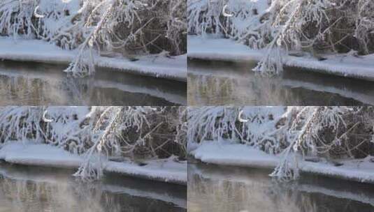 东北冬天冰冻的枯草，河流高清在线视频素材下载