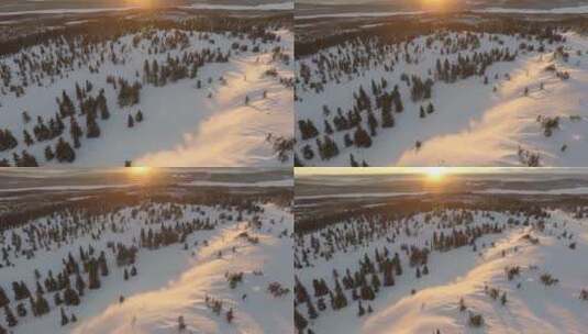 晚霞白雪覆盖的群山与雪松高清在线视频素材下载