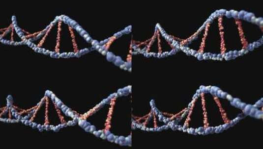 DNA染色体高清在线视频素材下载