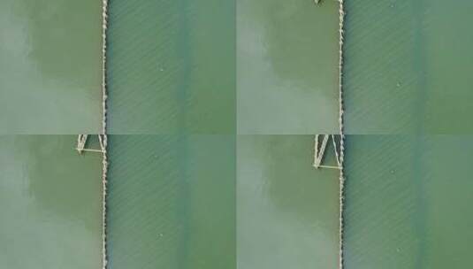 养鱼塘中的围网竹排高清在线视频素材下载