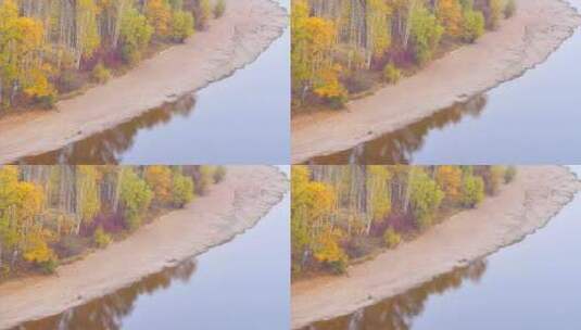 白鹿岛秋景 俯拍河岸水波 黄绿色树林高清在线视频素材下载